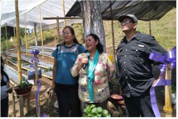 Inauguran Fresario Modelo en Catarina