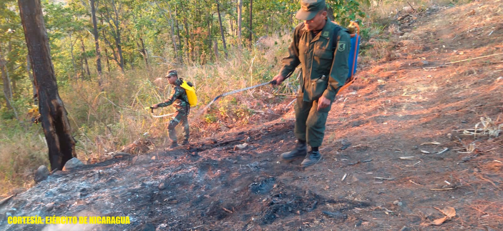 Ejercito participó en sofocación de incendio forestal en el Parque Ecológico Municipal “Cerro Canta Gallo”, en el municipio de Condega