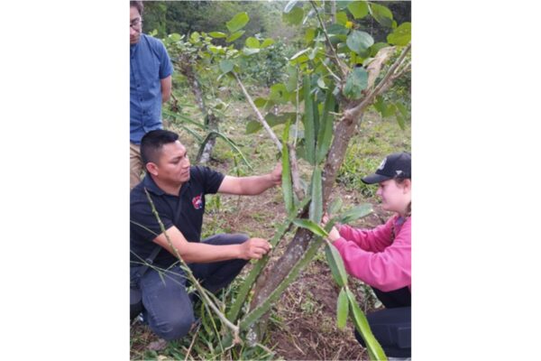 Rick Kohn: Lo que Aprendimos de Nicaragua sobre Agroecología