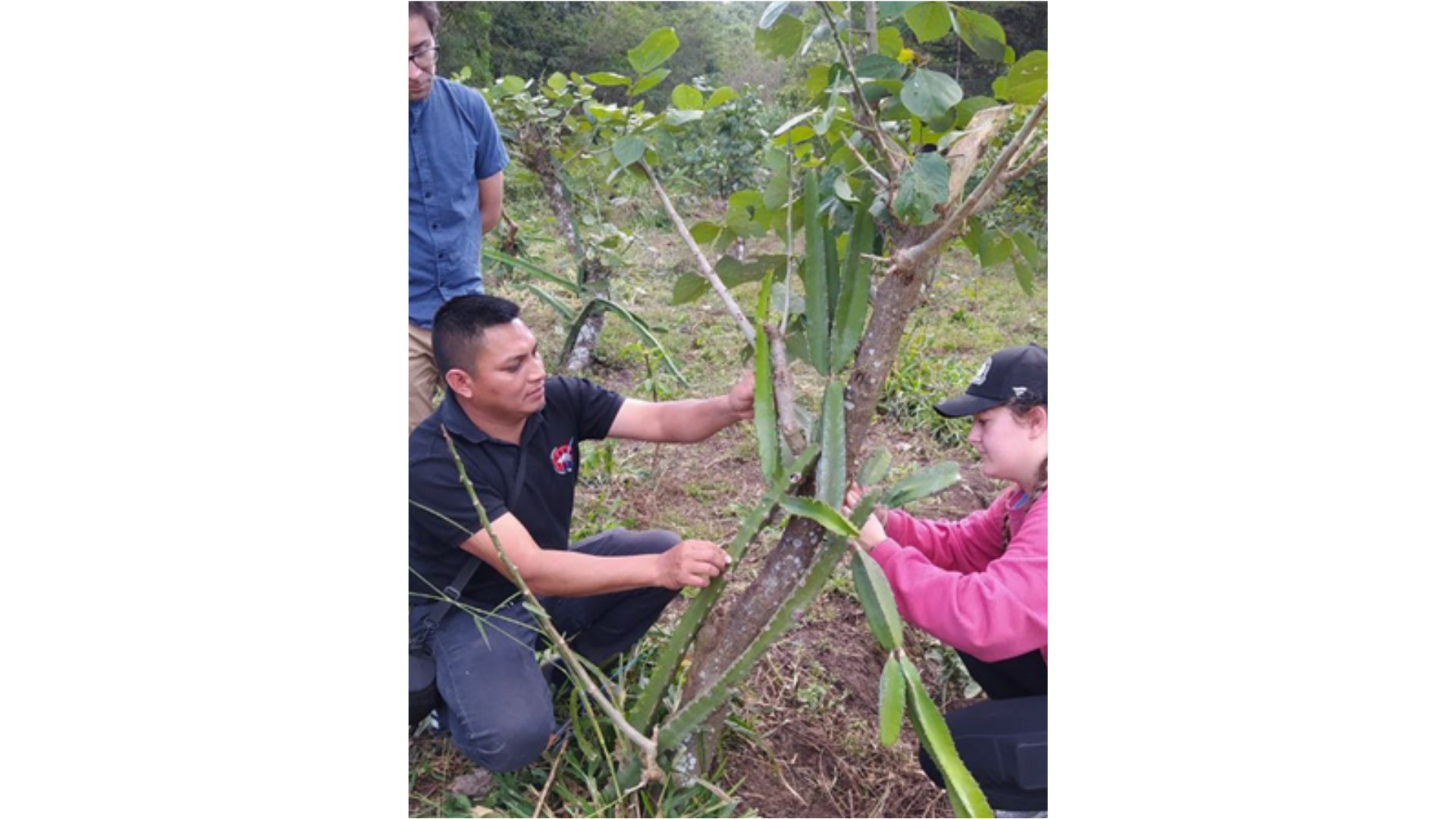 Rick Kohn: Lo que Aprendimos de Nicaragua sobre Agroecología