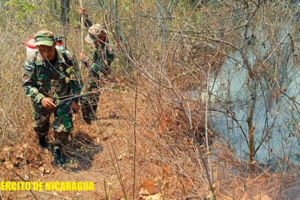 Ejército nicaragüense participa en sofocación de incendio forestal en las comunidades La Pita y El Horno, municipio de Jinotega
