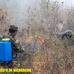 Ejército, instituciones y brigadistas comunitarios sofocan incendio forestal en comunidad de Matagalpa