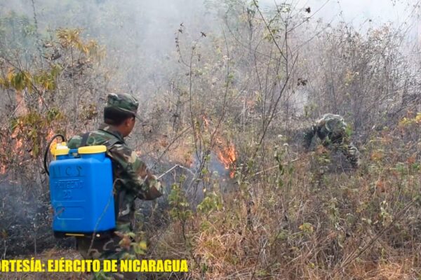 Ejército, instituciones y brigadistas comunitarios sofocan incendio forestal en comunidad de Matagalpa