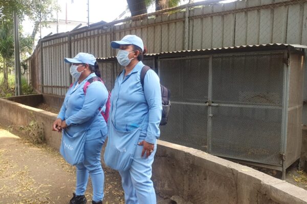 Continua Lucha antiepidémica en barrios de Managua