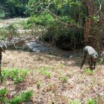 Ejército de Nicaragua participa en jornada de reforestación ambiental