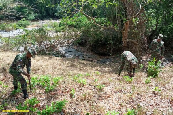 Ejército de Nicaragua participa en jornada de reforestación ambiental