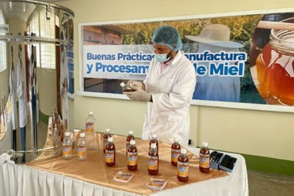 INTA inaugura Centro de Desarrollo de Tecnologías para la Apicultura