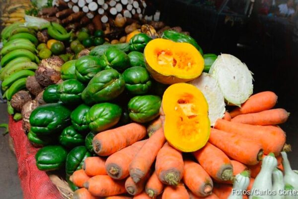 Nicaragua con buena cosecha de producción de hortalizas