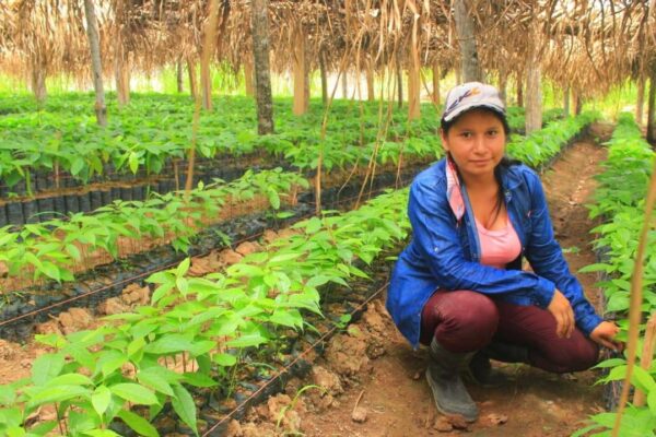10 de mayo iniciará segunda etapa de la campaña Verde, que te quiero Verde