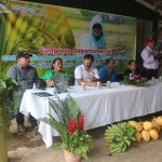 Celebran Congreso Departamental de Arroz Secano en Nueva Guinea