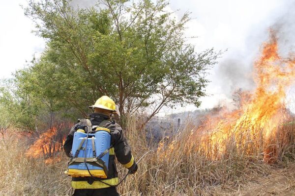 Detectan 47 puntos de calor en dos departamentos de Nicaragua