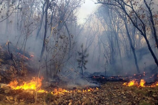 Detectan 57 puntos de calor en 4 departamentos y las 2 Regiones Autónomas de la Costa Caribe