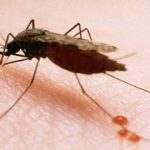 Disminuyen casos de malaria y se refuerzan atenciones de dengue y neumonía en Nicaragua