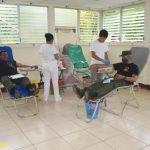 Ejército de Nicaragua reporta ocupación de madera trasladada de manera ilegal