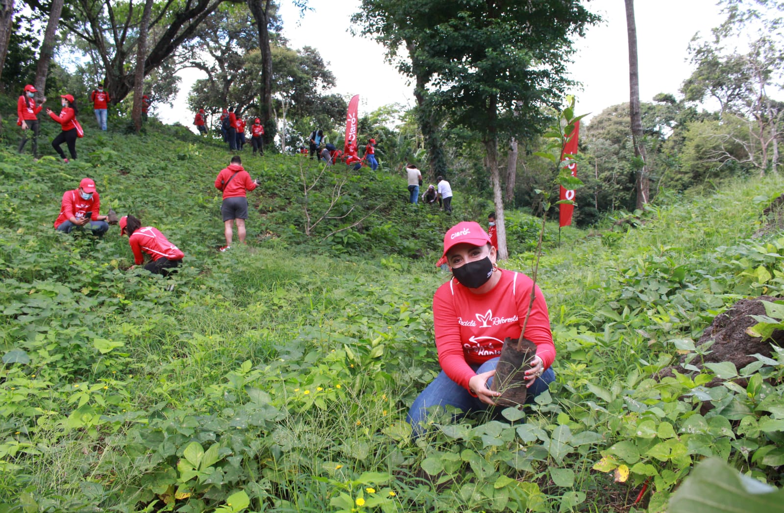 Claro presenta programa en homenaje al Día Nacional del Árbol