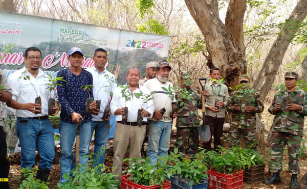 Ejército de Nicaragua realiza jornadas de limpieza y ahoyados para reforestación