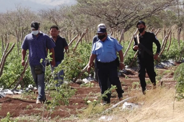Autoridades policiales nicaragüenses continúan fortaleciendo seguridad en el campo de manera efectiva