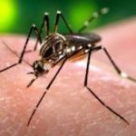 Menos contagios de Malaria, Neumonía y Dengue en Nicaragua