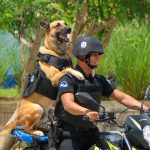 Policía Nacional Clausura Décimo tercer curso de Formación de Unidades Cinofilas