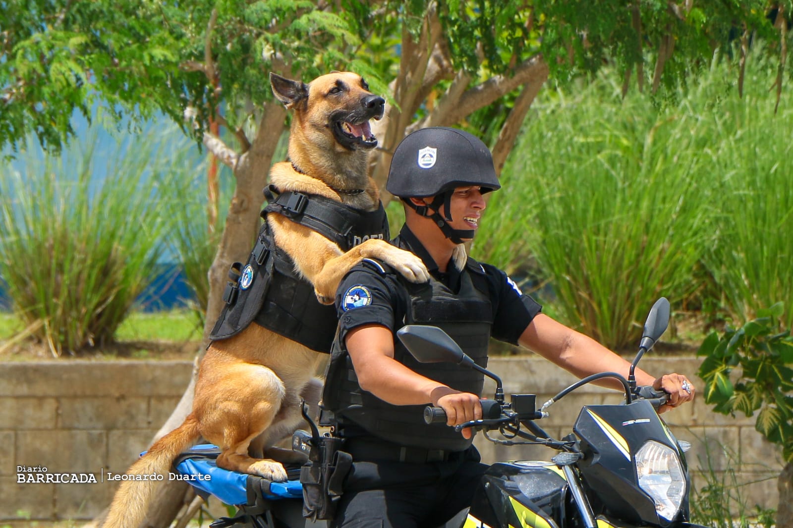 Policía Nacional Clausura Décimo tercer curso de Formación de Unidades Cinofilas