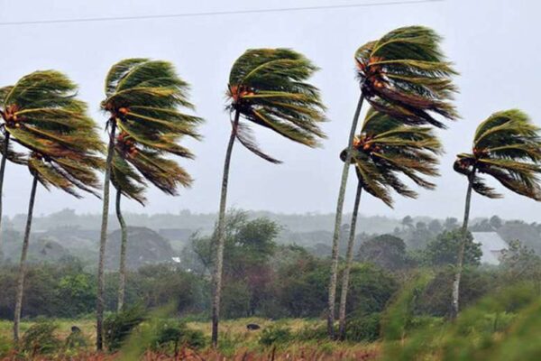 Autoridades nicaragüenses monitorean fenómeno metereológico en el mar Caribe
