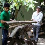Bambú CEN: Un Oasis Sostenible en Matagalpa que Transforma Vidas y Naturaleza