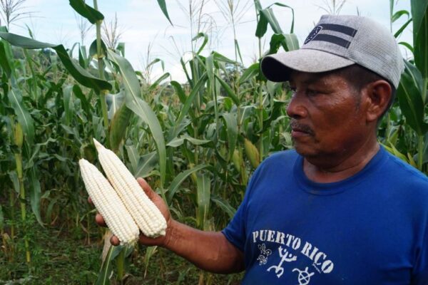 FINCA DE TECNOLOGÍAS AGROPECUARIAS“HÉROES DE LA RAMPLA”, EN SIUNA