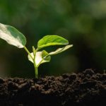 Moisés Absalón Pastora: ¿Qué es la vida?