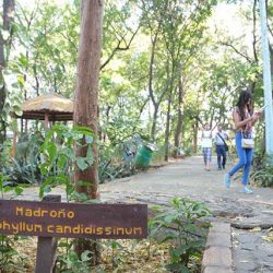 Adultos Mayores y el INAFOR Promueven la Prevención de Incendios en el Arboretum de Managua