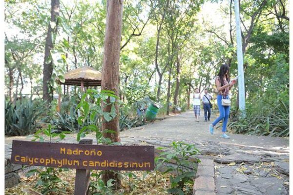 Adultos Mayores y el INAFOR Promueven la Prevención de Incendios en el Arboretum de Managua