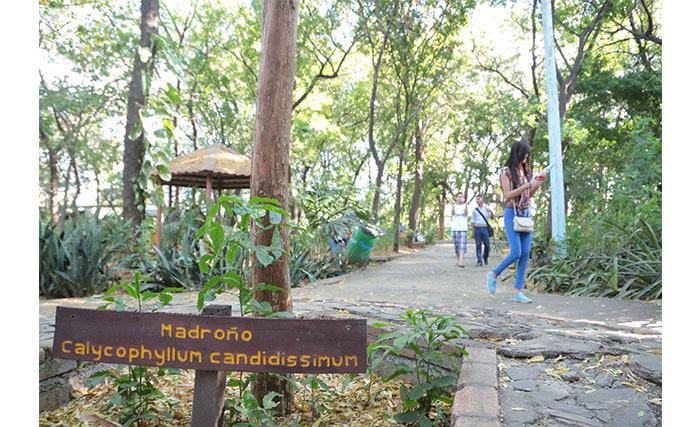 Adultos Mayores y el INAFOR Promueven la Prevención de Incendios en el Arboretum de Managua