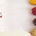 El Día Nacional del Maíz en Nicaragua