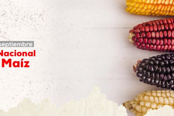 El Día Nacional del Maíz en Nicaragua