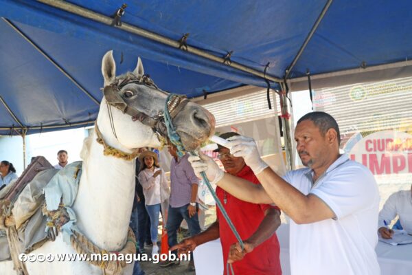 Comuna capitalina habilita nuevo centro de transferencia para desechos sólidos en el Distrito VI