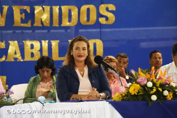 Cabildo Consultativo en el Distrito V