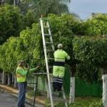 Claro Nicaragua promueve poda responsable