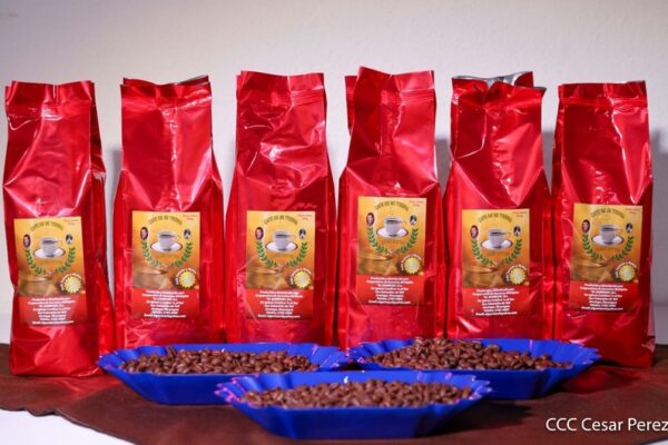 Nicaragua Avanza en la Industria del Café con Oportunidades del TLC China-Nicaragua