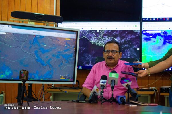 Días soleados para la segunda semana de enero.