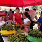 PROGRAMACIÓN DE FESTIVALES, MERCADITOS CAMPESINOS Y FERIAS DE LA ECONOMÍA FAMILIAR Del 1 al 4 de Febrero