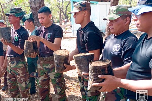 Ejército de Nicaragua Promueve Capacitación Verde: Viveros para el Futuro Ambiental