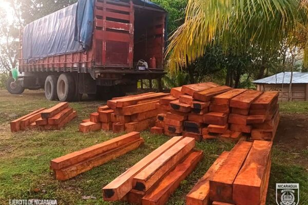 Comando Regional 6 informa de ocupación de madera en la Costa Caribe Sur