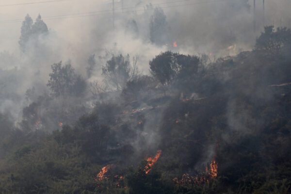 Incendios forestales, dengue y temperaturas récord: Sudamérica sufre por la ola de calor extremo