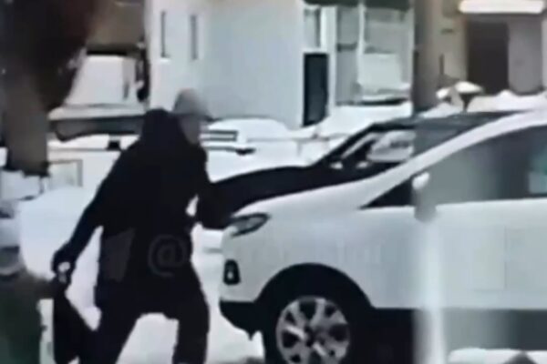 Un niño salva a su hermana de un hombre que intenta secuestrarla