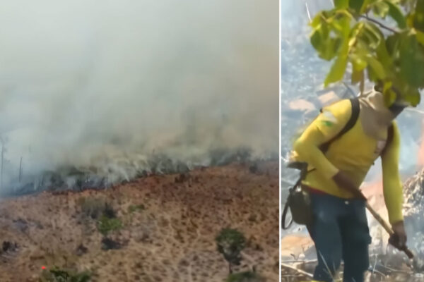 Casas, animales y vegetación en llamas: el estado amazónico azotado por incendios en Brasil