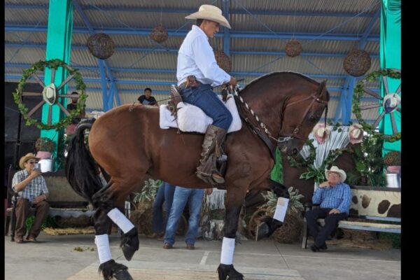 Realizan lanzamiento nacional de festivales vaqueros
