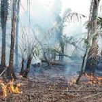 Reportes puntos de calor y verificación de incendios.