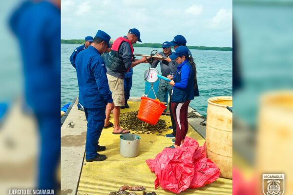 Distrito Naval Caribe actúa contra la pesca ilegal en aguas nicaragüenses