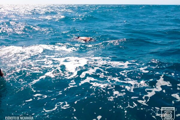 Fuerza Naval Encuentra Cuerpo Sin Vida en Costas de Pochomil