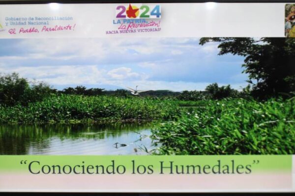 INAFOR da a conocer la importancia de los humedales