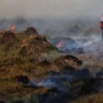 Incendio forestal ha destruido casi 6.000 hectáreas en Argentina